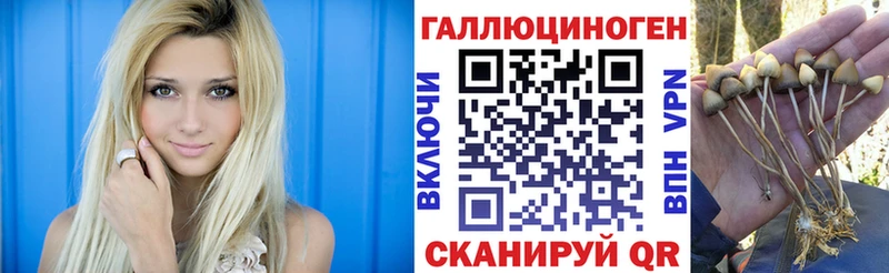MEGA tor  Костерёво  Галлюциногенные грибы прущие грибы 